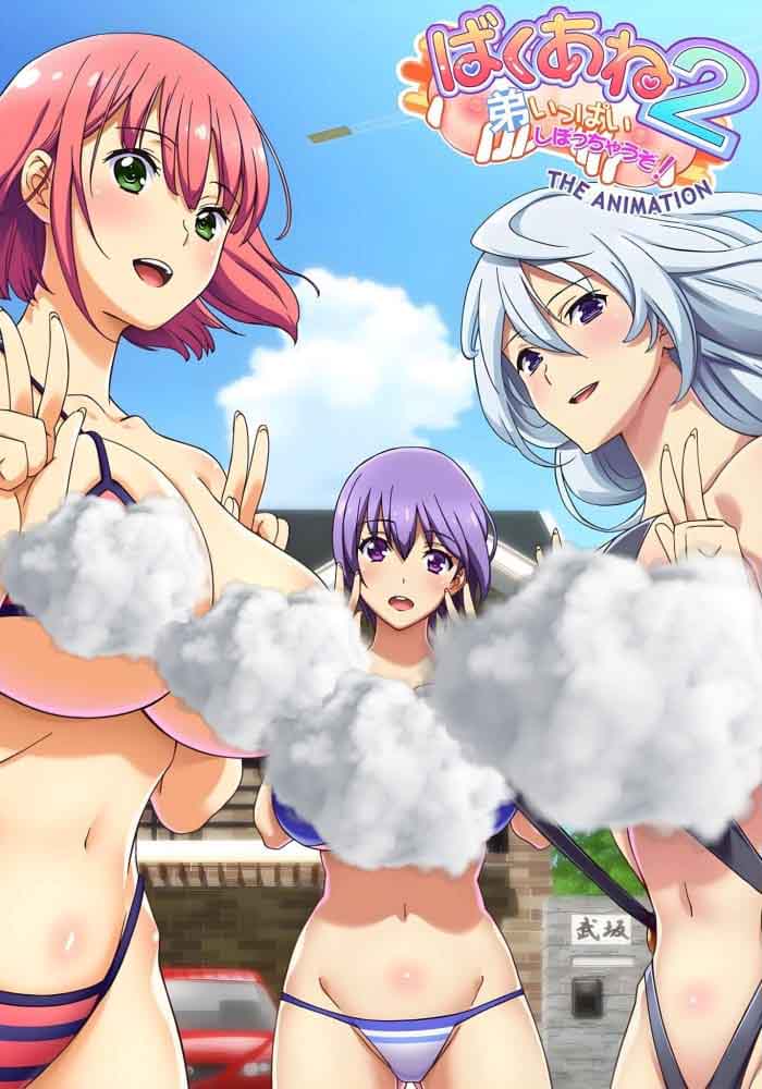 Сестринская забота 2 / Baku Ane 2: Otouto Ippai Shibocchau zo! The Animation